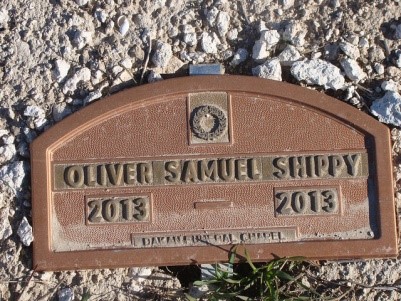 oliver samuel shippy